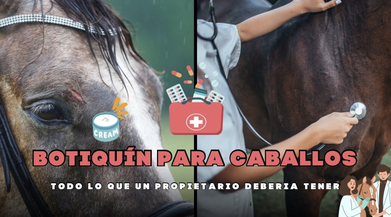 La importancia de un botiquín de primeros auxilios para tu caballo