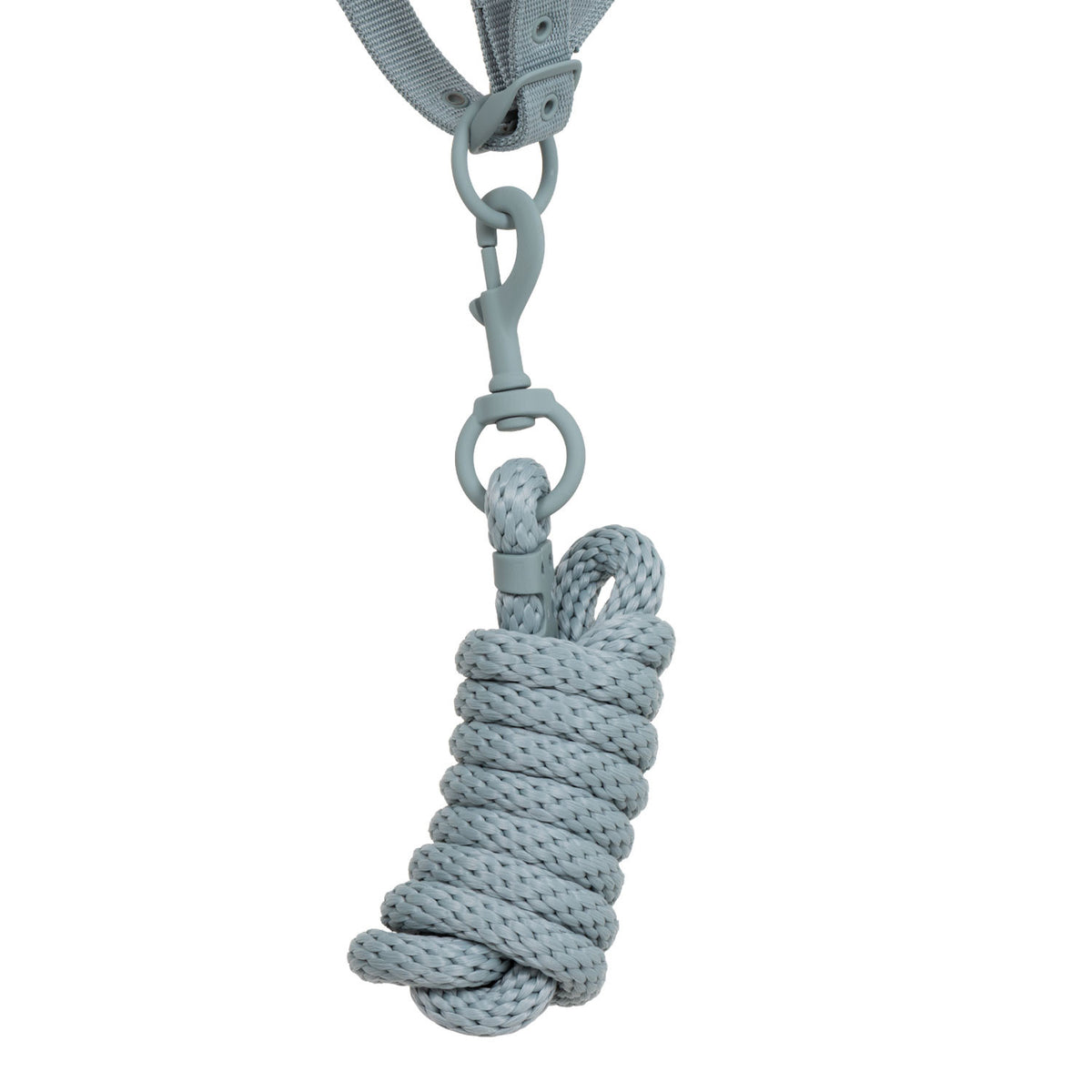 Cabezada de Cuadra con Hebillas Recubiertas de Goma