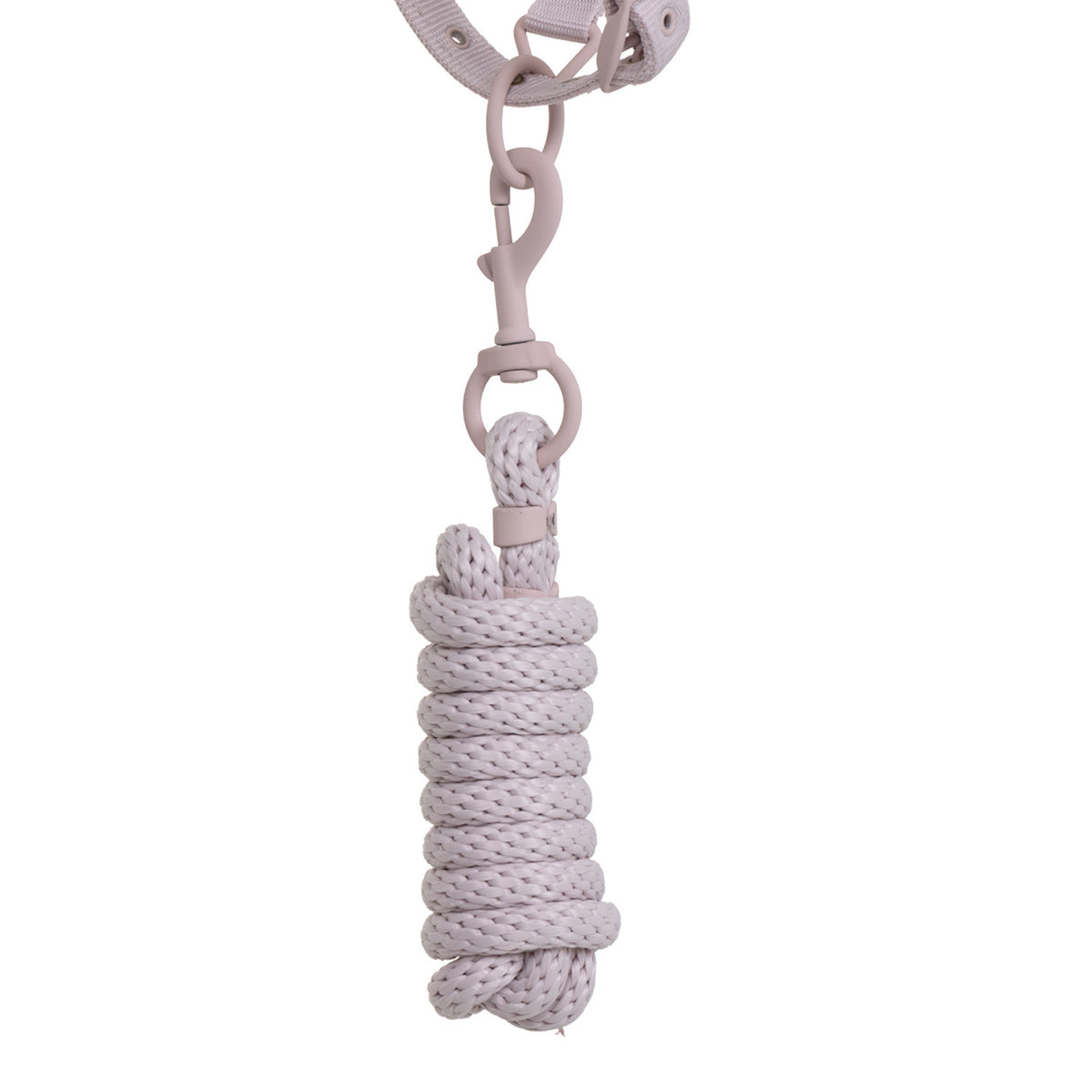 Cabezada de Cuadra con Hebillas Recubiertas de Goma