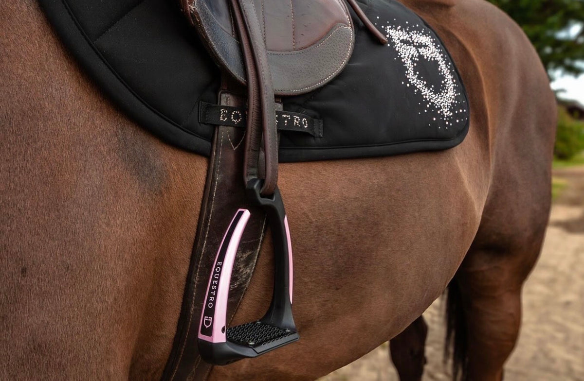 accesorios para caballo empire sapphire equestro