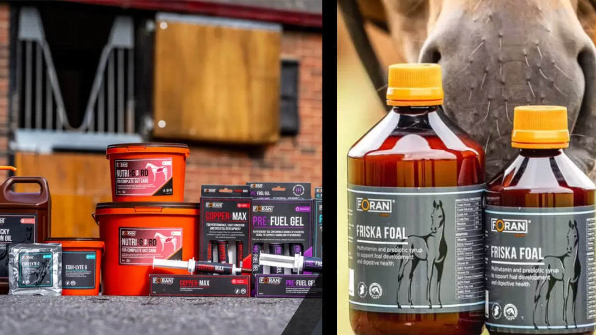 suplementos foran para el caballo