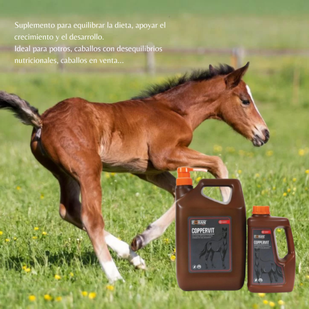 FORAN-COPPERVIT-5L