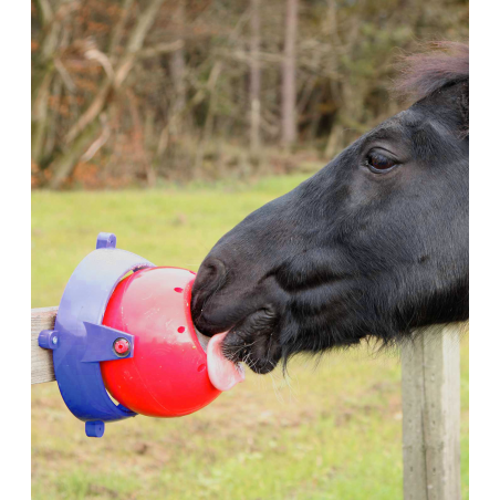 Juguete para Caballos LIKIT TONGUE TWISTER