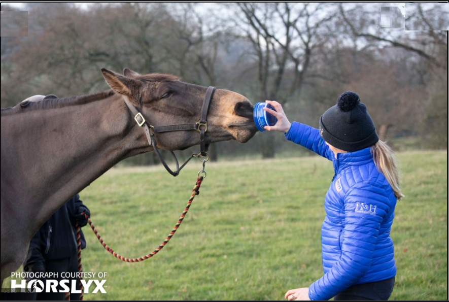Mini Horslyx Balancer