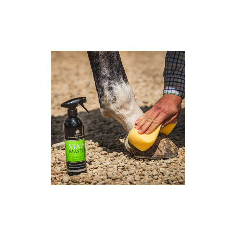 C&D STAIN MASTER LIMPIADOR MANCHAS SPRAY 500ML
