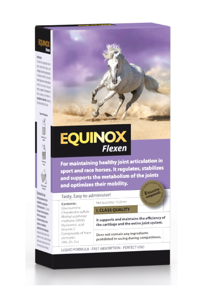 EQUINOX FLEXEN 1L - SOPORTE...
