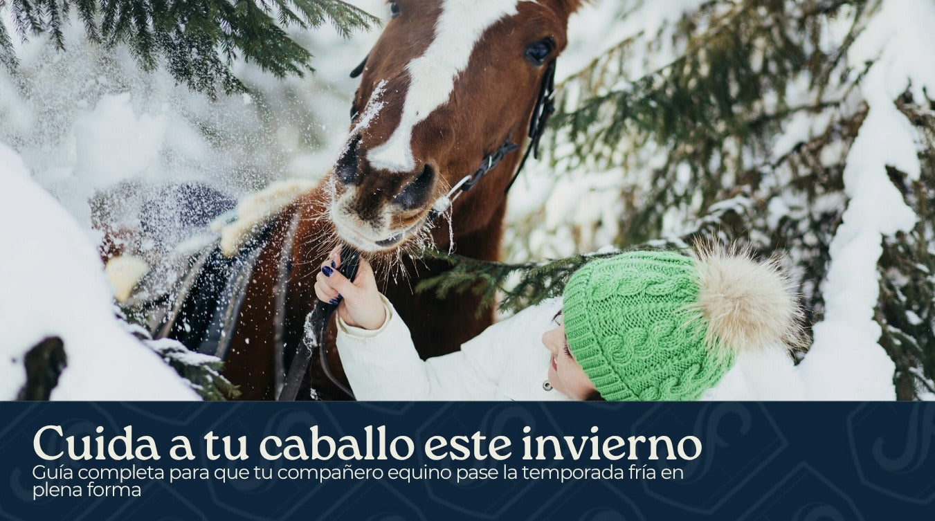 Cómo cuidar el bienestar de tu caballo este invierno