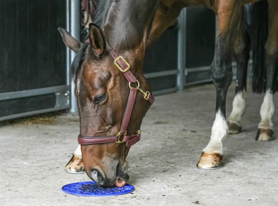 Likit para caballos: juguetes y golosinas para combatir el aburrimiento