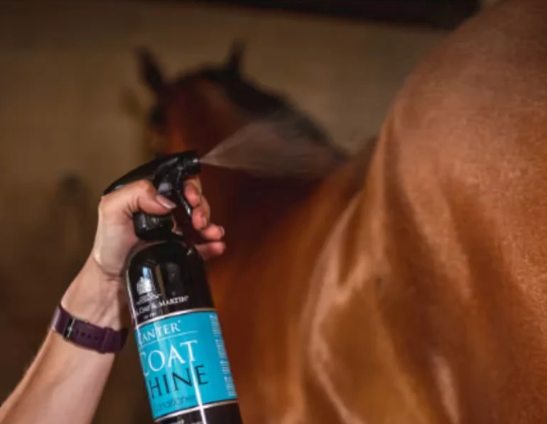 Carr & Day & Martin Coat Shine: brillo y cuidado para el pelaje de tu caballo