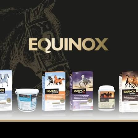 Equinox Equine: Suplementos para caballos