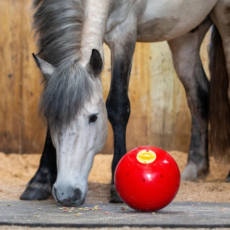 Juguete para Caballo LIKIT Snak a Ball