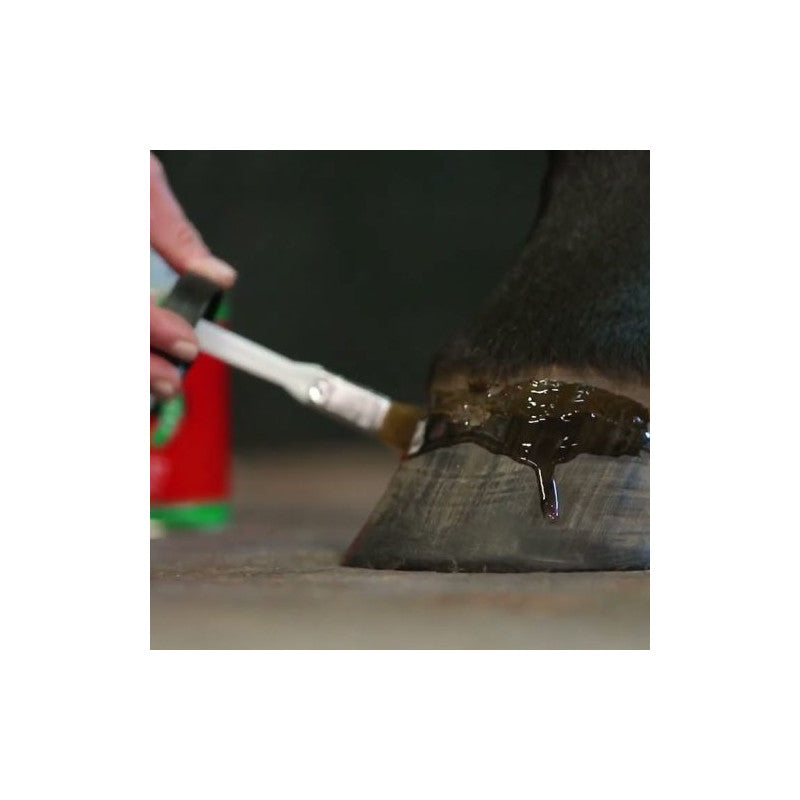 Pomada brillante con árbol de té para cascos