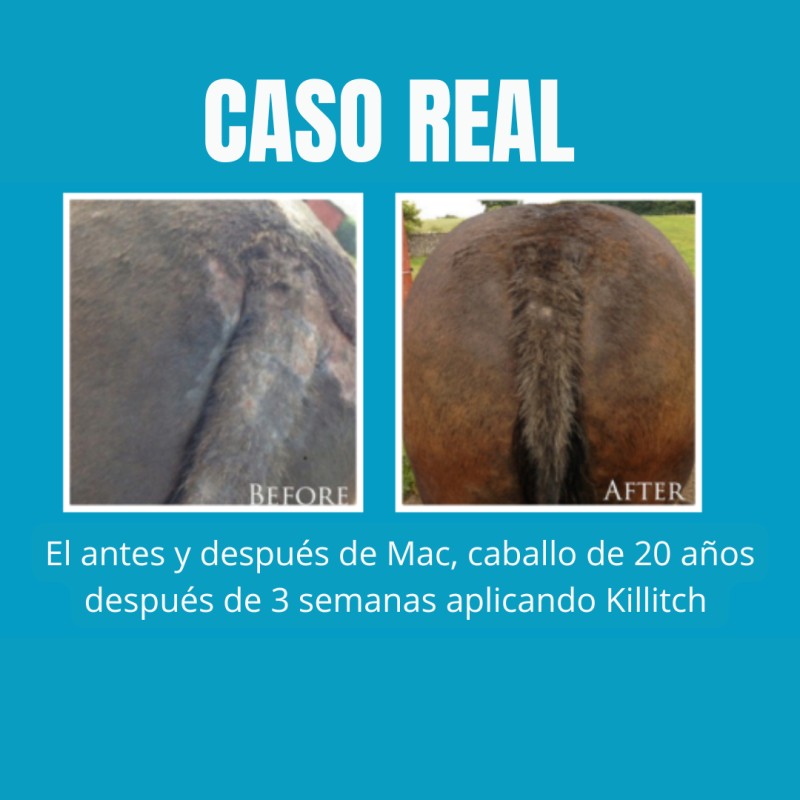 KILLITCH - Tratamiento antipicores para caballos