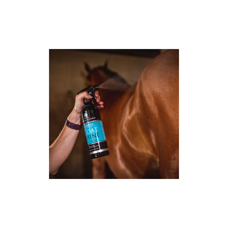 C&D CANTER COAT SHINE BRILLO PELO SPRAY 500ML